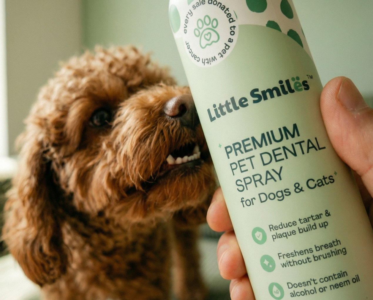 Little Smiles - Dental Pet Spray Brand Social & Packaging Design