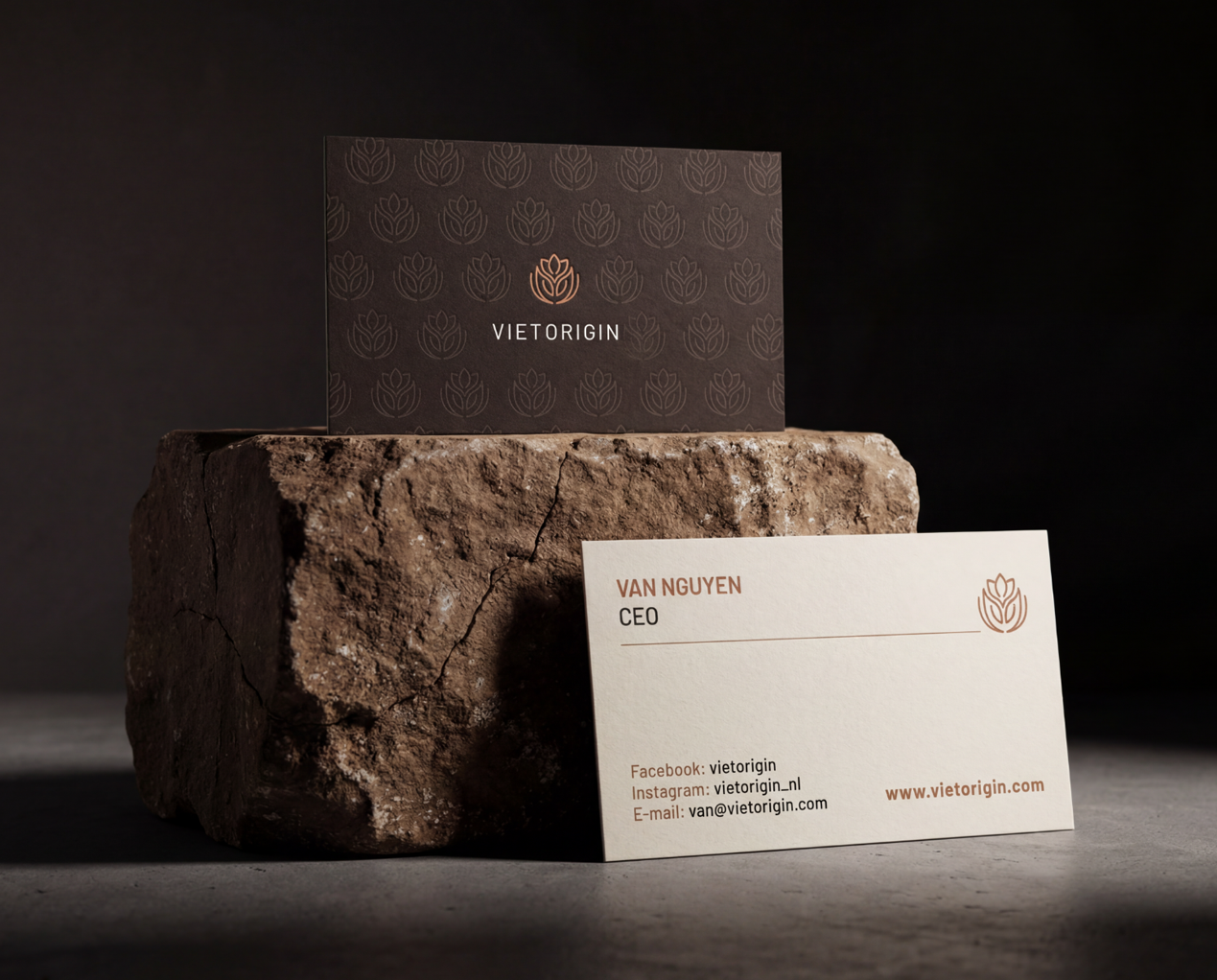 VietOrigin - Brand Guidelines Design